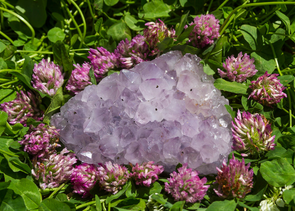 Large Amethyst Clusters