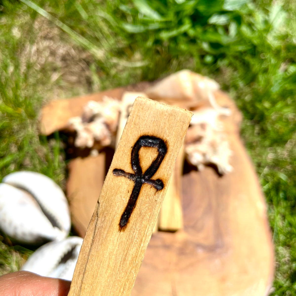Blessed Palo Santo Sticks – Coins and Cowries